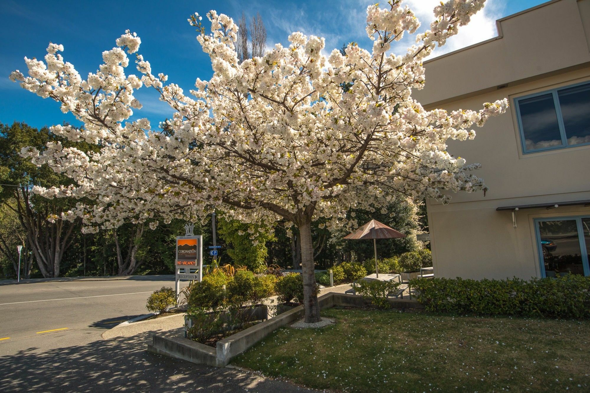 Coronation Lodge Queenstown Exterior foto